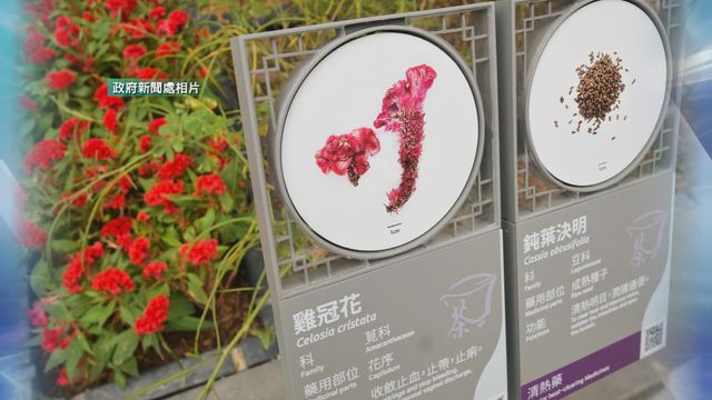 無綫新聞 TVB News