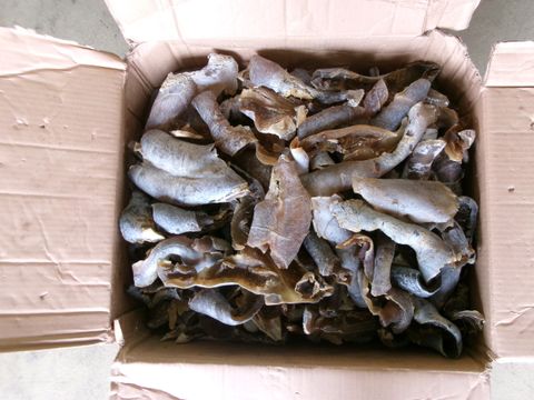 無綫新聞 TVB News 無綫新聞 TVB News