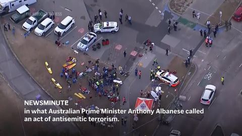 Global News Highlights by AP