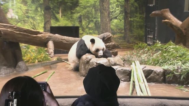 無綫新聞 TVB News 無綫新聞 TVB News