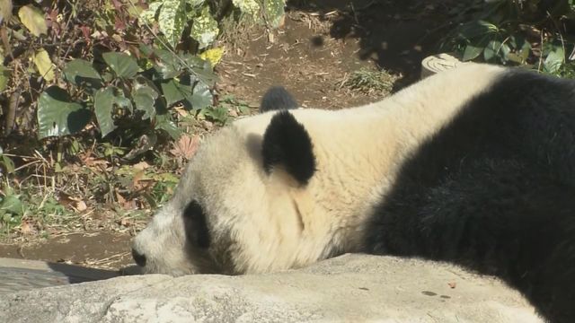 無綫新聞 TVB News 無綫新聞 TVB News