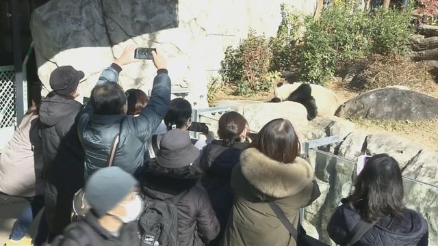 無綫新聞 TVB News 無綫新聞 TVB News