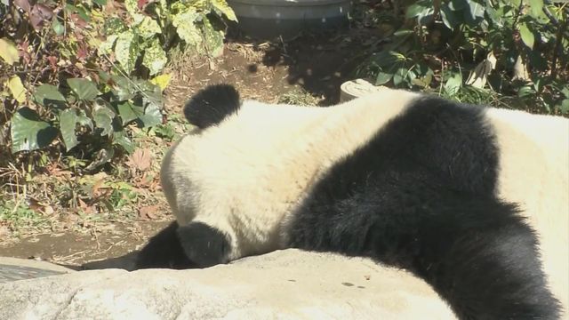 無綫新聞 TVB News 無綫新聞 TVB News