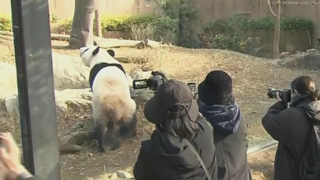 無綫新聞 TVB News 無綫新聞 TVB News