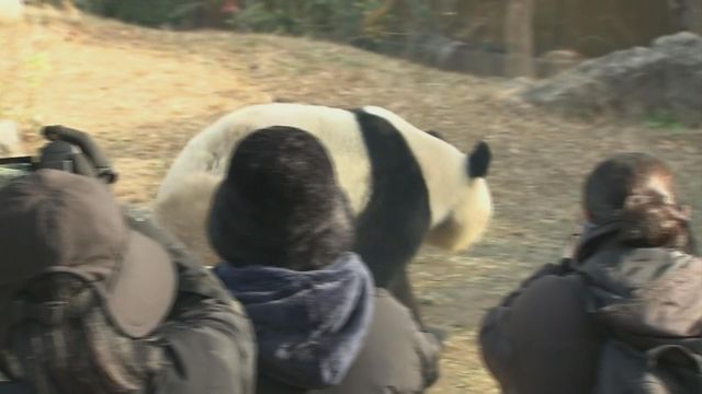 無綫新聞 TVB News 無綫新聞 TVB News