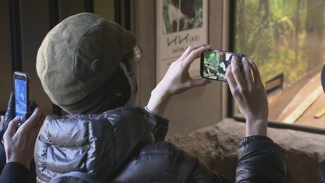 無綫新聞 TVB News 無綫新聞 TVB News