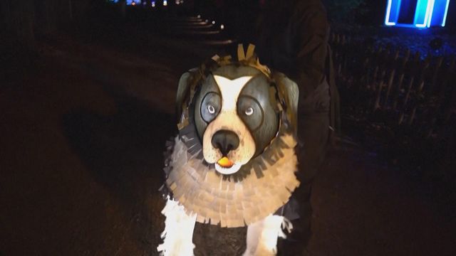 無綫新聞 TVB News 無綫新聞 TVB News