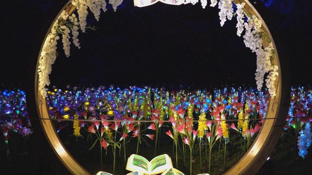 無綫新聞 TVB News 無綫新聞 TVB News