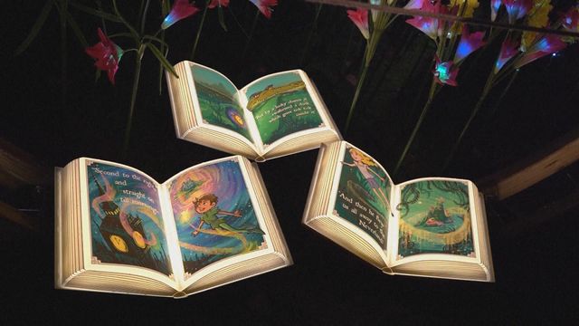 無綫新聞 TVB News 無綫新聞 TVB News