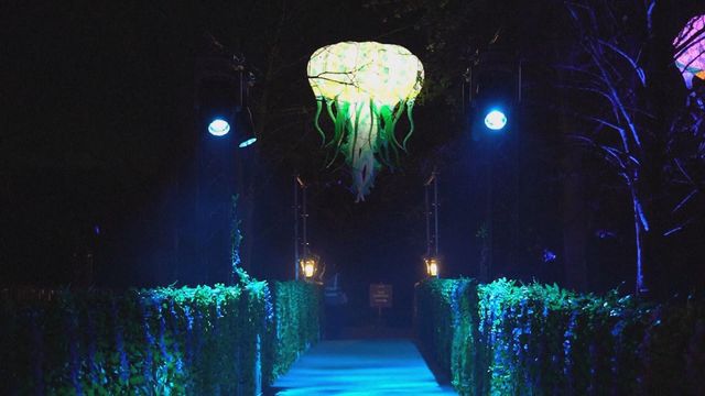 無綫新聞 TVB News 無綫新聞 TVB News