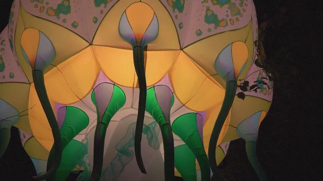 無綫新聞 TVB News 無綫新聞 TVB News