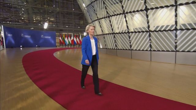 EC President Ursula von der Leyen arrives at summit to discuss Ukraine loan EC President Ursula von der Leyen arrives at summit to discuss Ukraine loan