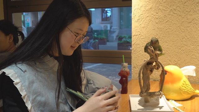 無綫新聞 TVB News