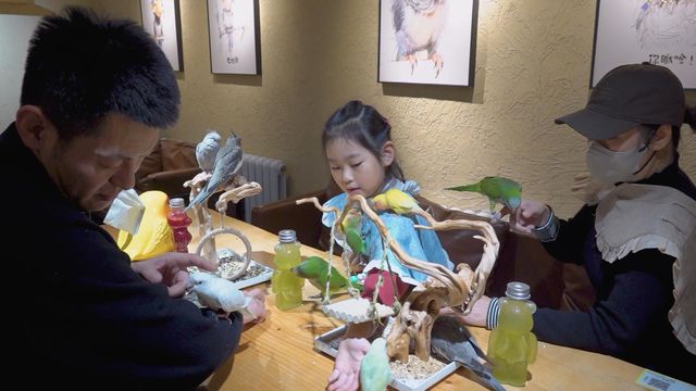 無綫新聞 TVB News