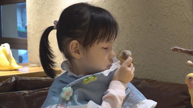 無綫新聞 TVB News