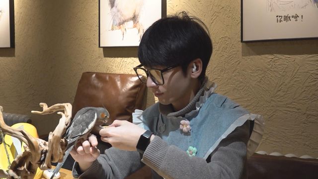 無綫新聞 TVB News