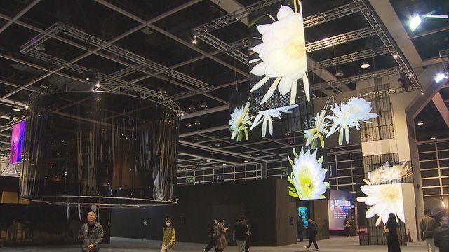 無綫新聞 TVB News 無綫新聞 TVB News