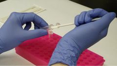 DNA口腔拭子採樣　助尋回親屬的科學鑑證方法｜延伸閱讀