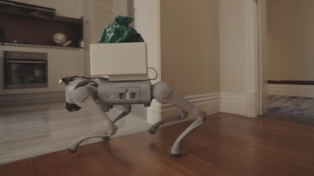 Breakthrough for Chinese scientists as man commands robotic dog through his thoughts