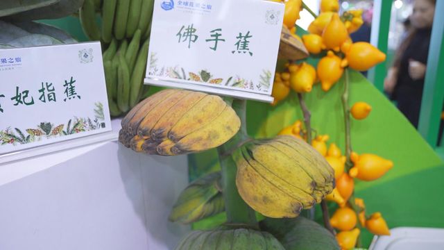 無綫新聞 TVB News