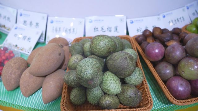 無綫新聞 TVB News