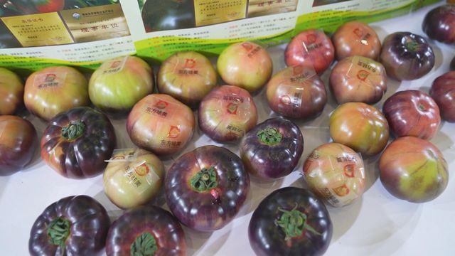 無綫新聞 TVB News