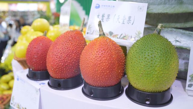 無綫新聞 TVB News