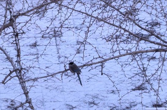 無綫新聞 TVB News