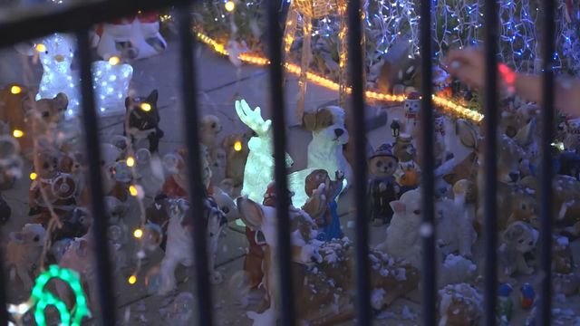 無綫新聞 TVB News