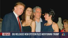 Trump flew on Epstein's private jet, "many more times than previous has been reported" according to latest documents