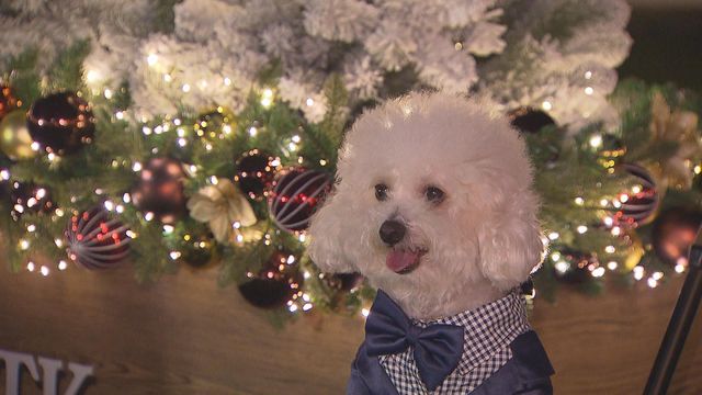 無綫新聞 TVB News