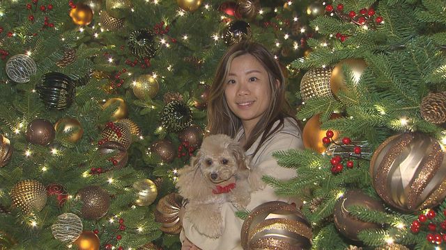 無綫新聞 TVB News