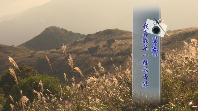 平民詩人筆下香江｜兩岸四地‧延伸閱讀