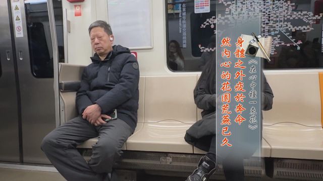 無綫新聞 TVB News