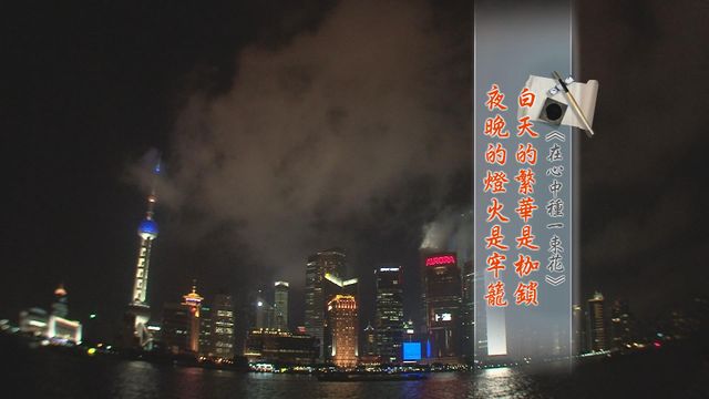 無綫新聞 TVB News