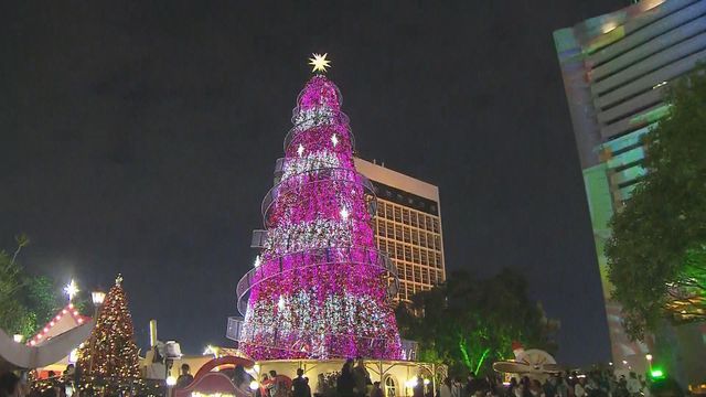 無綫新聞 TVB News