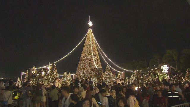 無綫新聞 TVB News