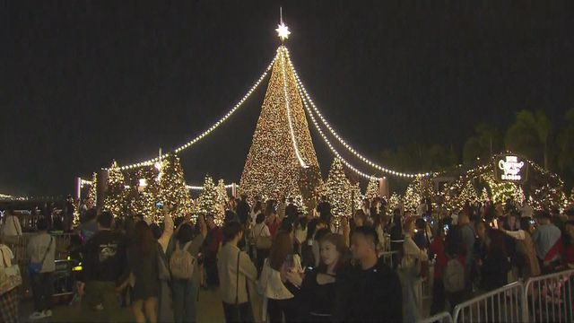 無綫新聞 TVB News