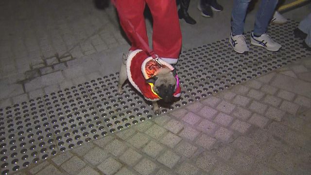 無綫新聞 TVB News