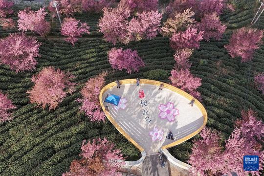 無綫新聞 TVB News