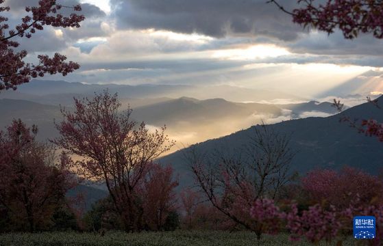 無綫新聞 TVB News