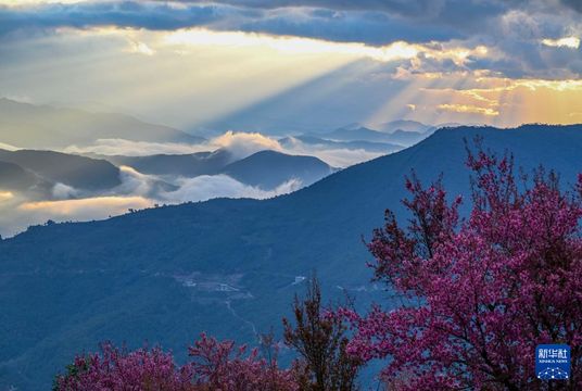 無綫新聞 TVB News