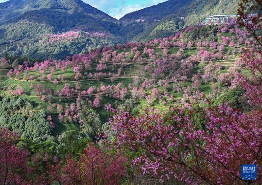 無綫新聞 TVB News