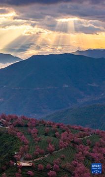 無綫新聞 TVB News