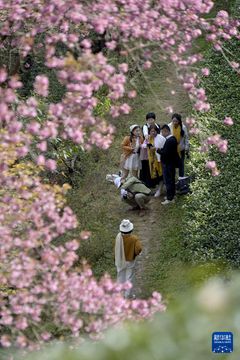 無綫新聞 TVB News