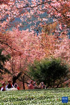 無綫新聞 TVB News