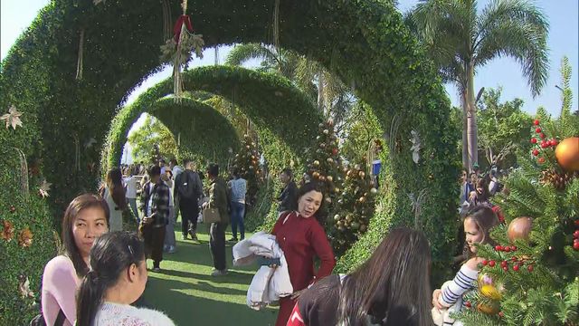 無綫新聞 TVB News