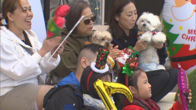 無綫新聞 TVB News