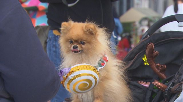 無綫新聞 TVB News