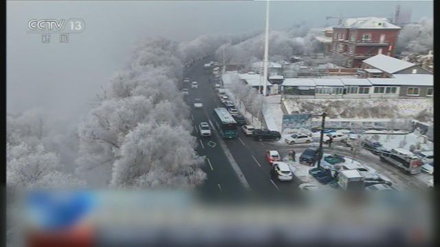 無綫新聞 TVB News